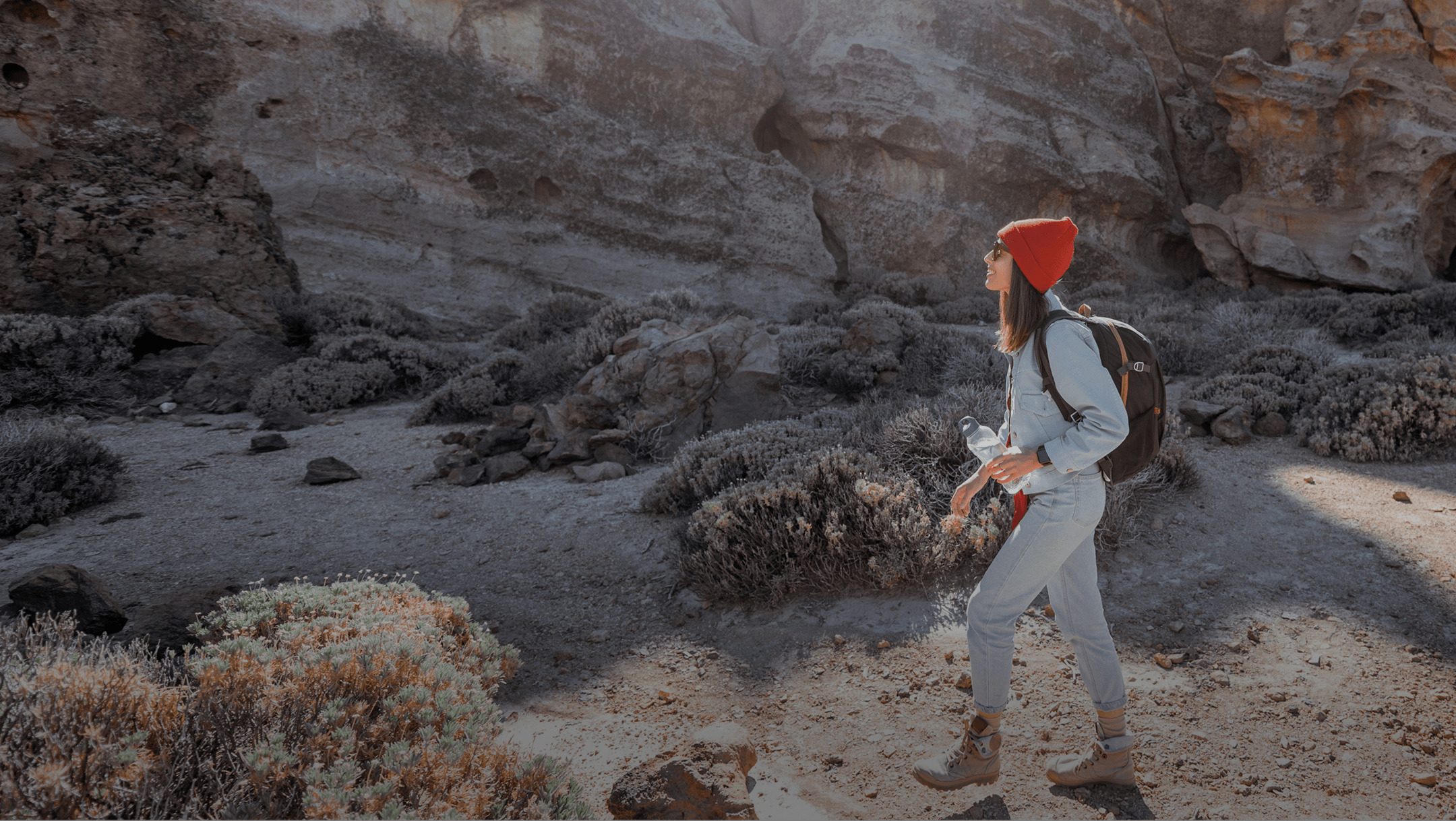 Traveler walking through landscape